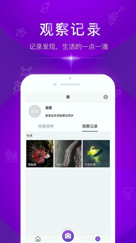 问鱼截图7