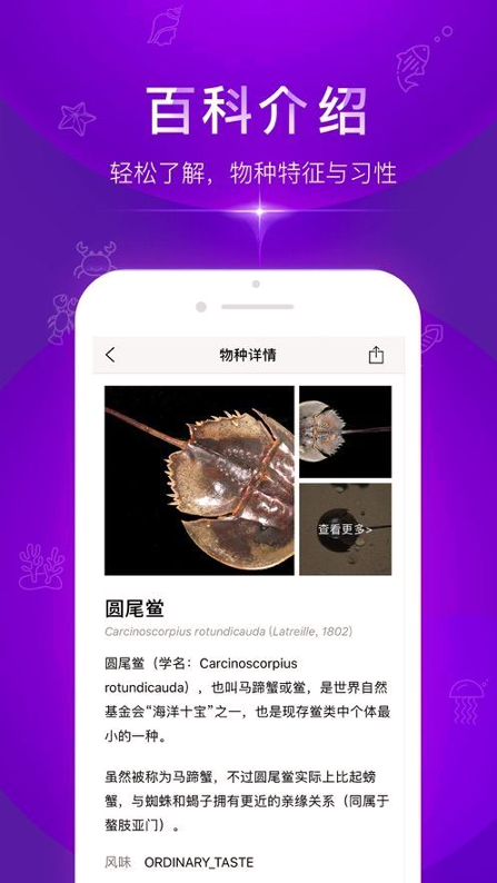 问鱼截图7