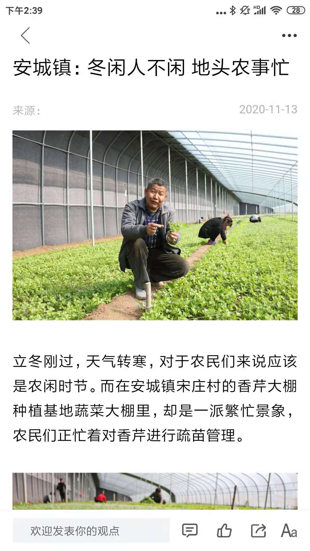 爱平阴截图7