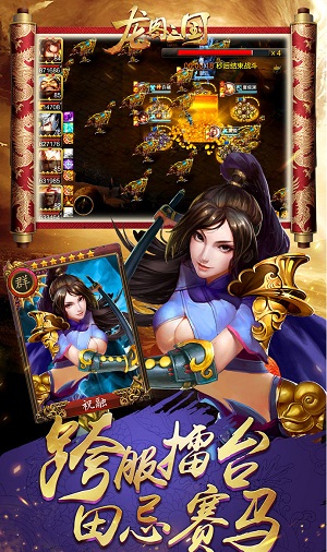 龙图三国截图7