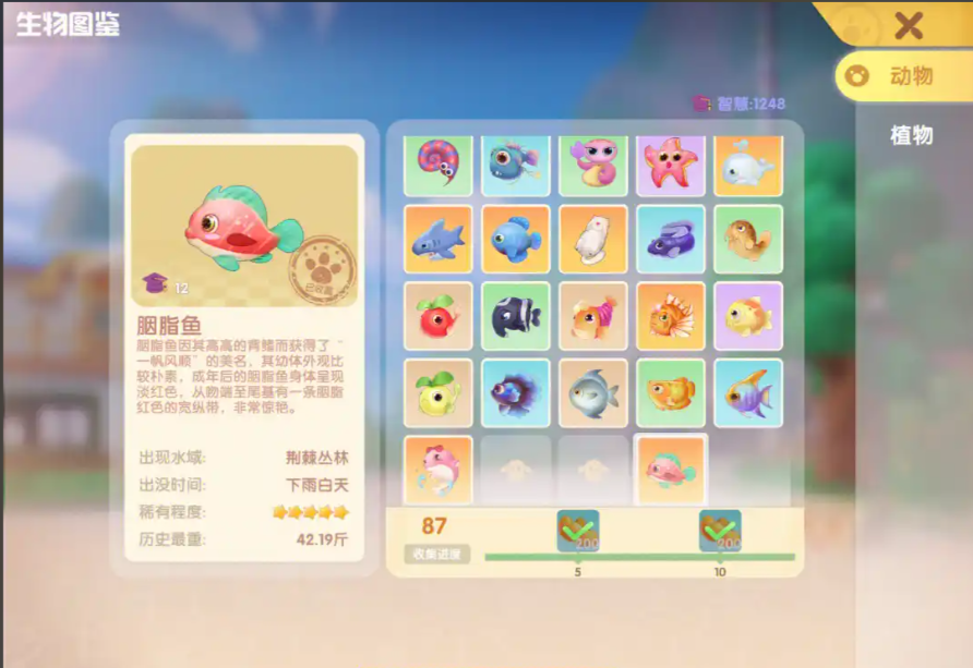 摩尔庄园雨伞怎么使用