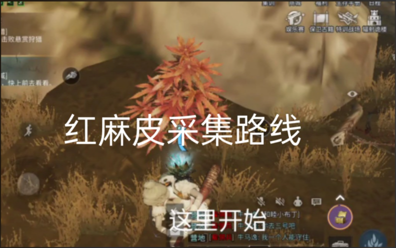 明日之后目前什么职业最好