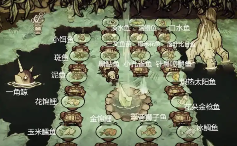 饥荒鱼缸怎么养鱼