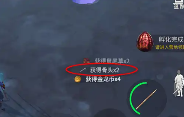 冰原守卫者骨头哪里采集