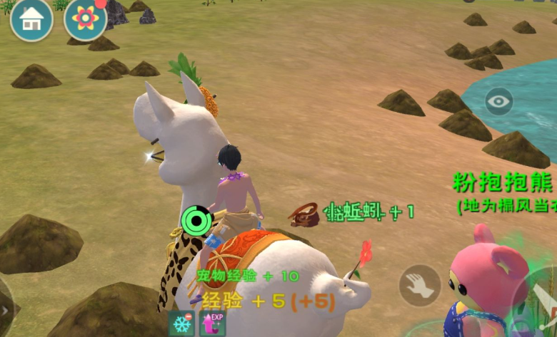 创造与魔法小蚯蚓在哪里收益最大