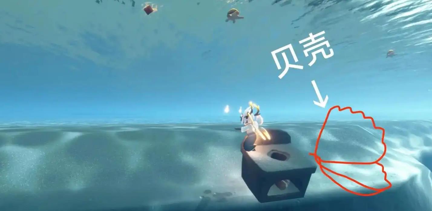 光遇贝壳星云怎么去