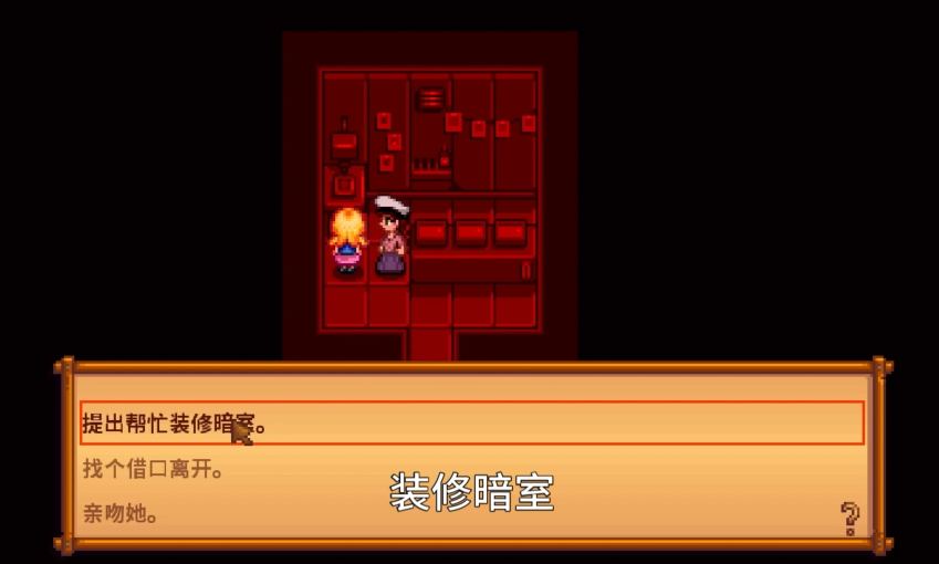 星露谷物语海莉的暗室怎么选