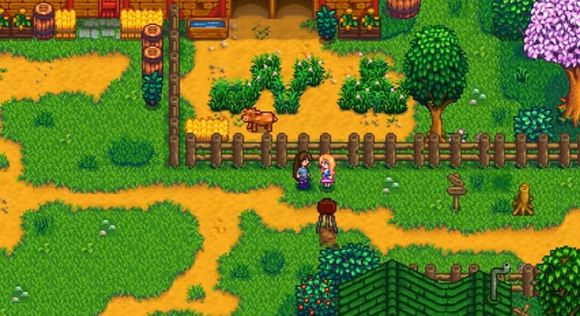 星露谷物语海莉如何九心