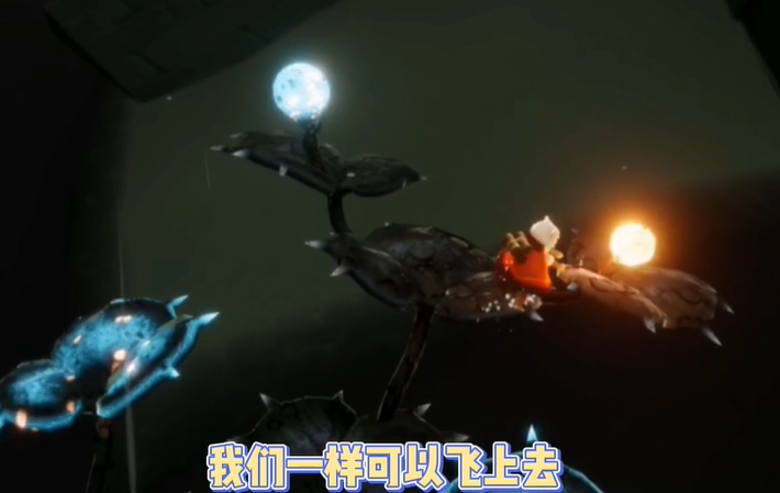 光遇禁阁怎么净化黑暗植物 光遇禁阁怎么净化黑暗植物