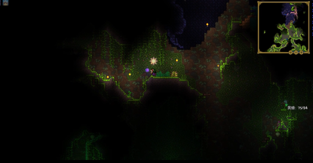 泰拉瑞亚新手应该做什么