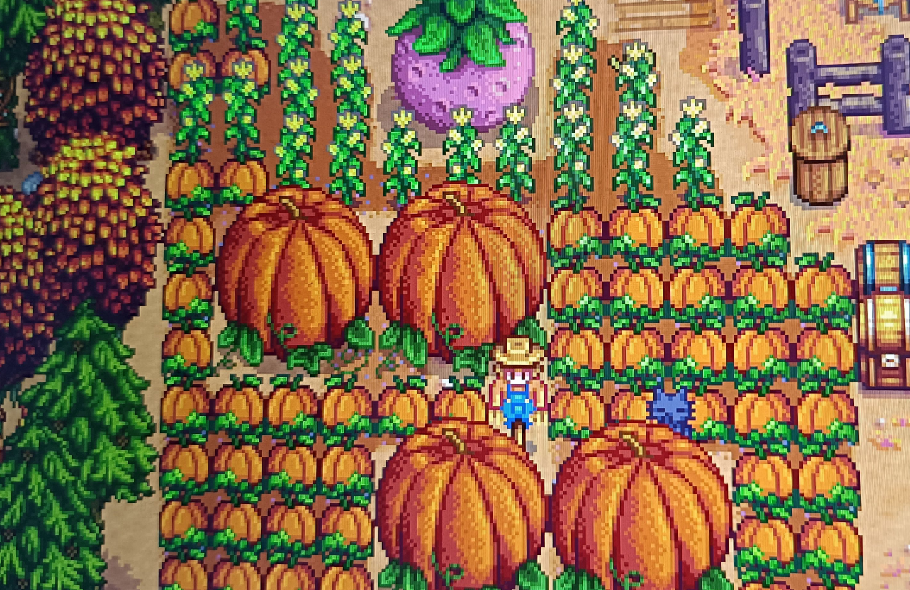 星露谷物语能种植什么 星露谷物语能种植什么