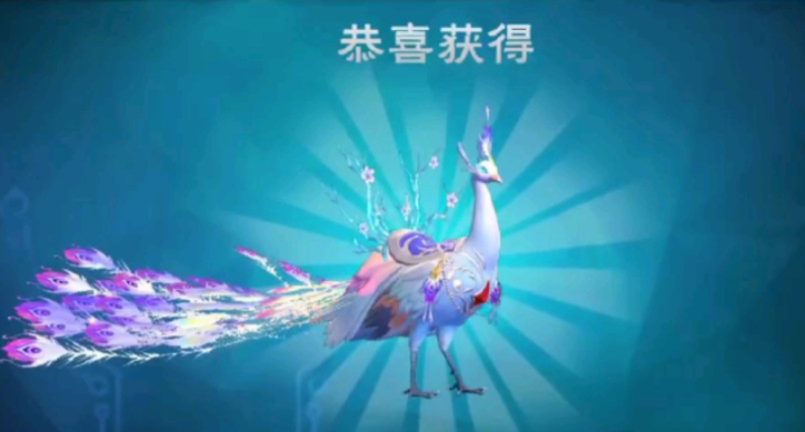 创造与魔法白灵孔雀怎么抓取