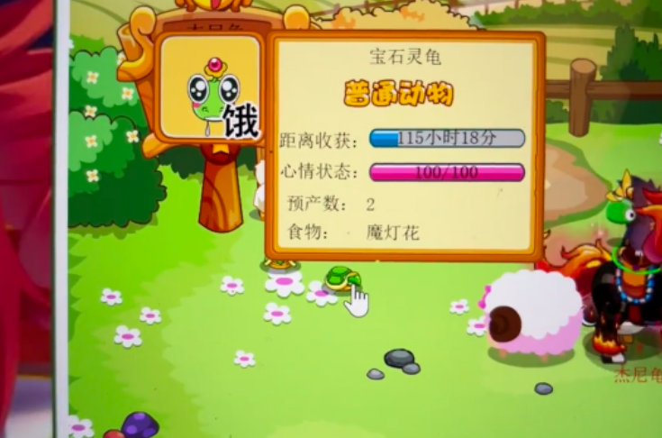 摩尔庄园魔灯花种子怎么得