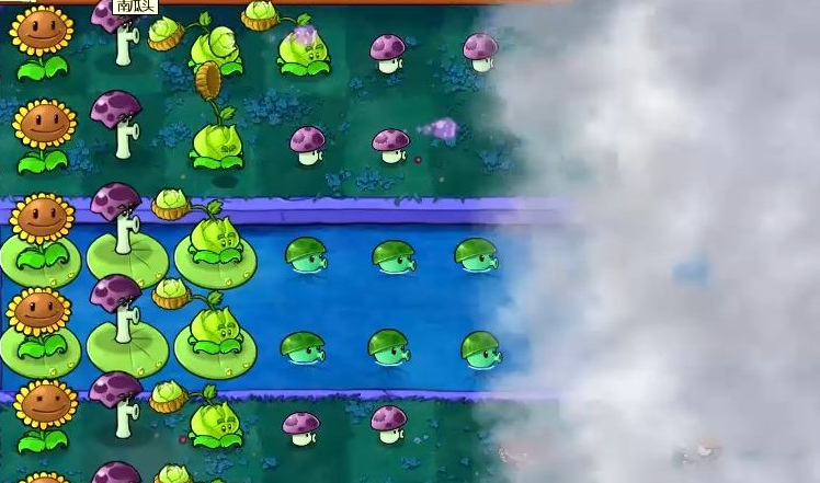 植物大战僵尸浓雾关卡怎么过 植物大战僵尸浓雾关卡怎么过