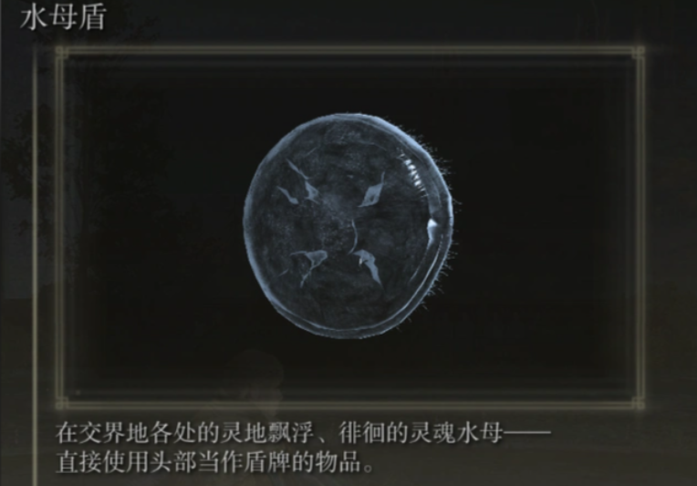 艾尔登法环法师加点推荐什么 艾尔登法环法师加点推荐什么