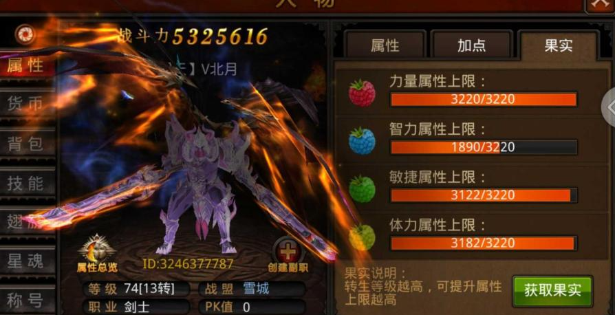 全民奇迹魔剑士什么装备好