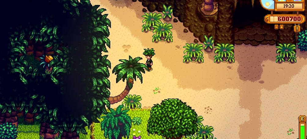 星露谷物语日记残页6在哪里