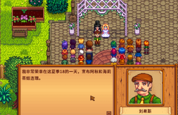 星露谷物语怎么结婚