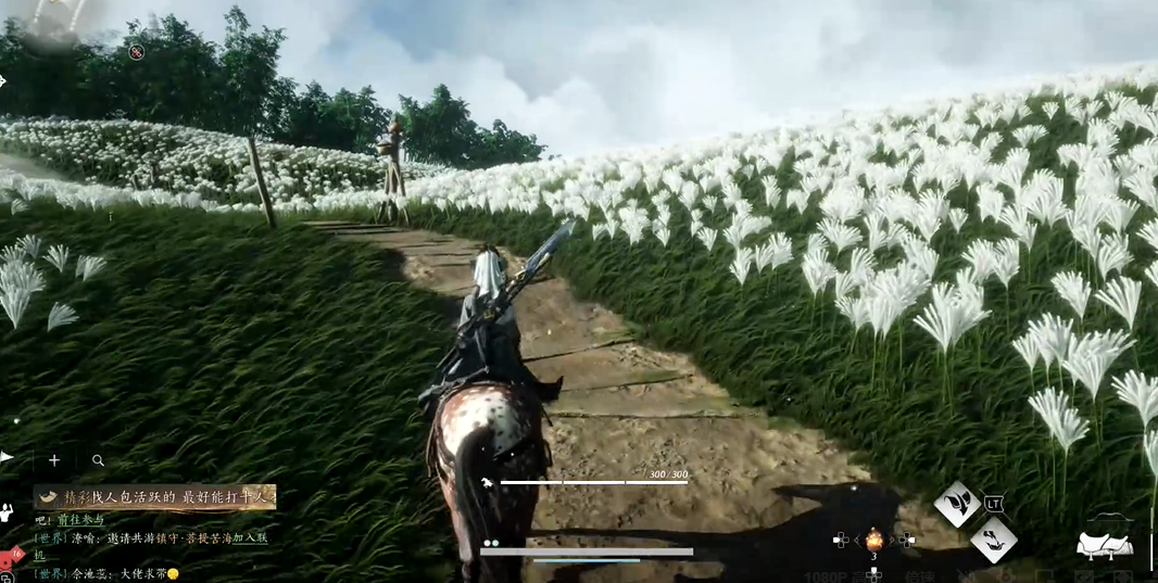 燕云十六声芦苇荡在哪